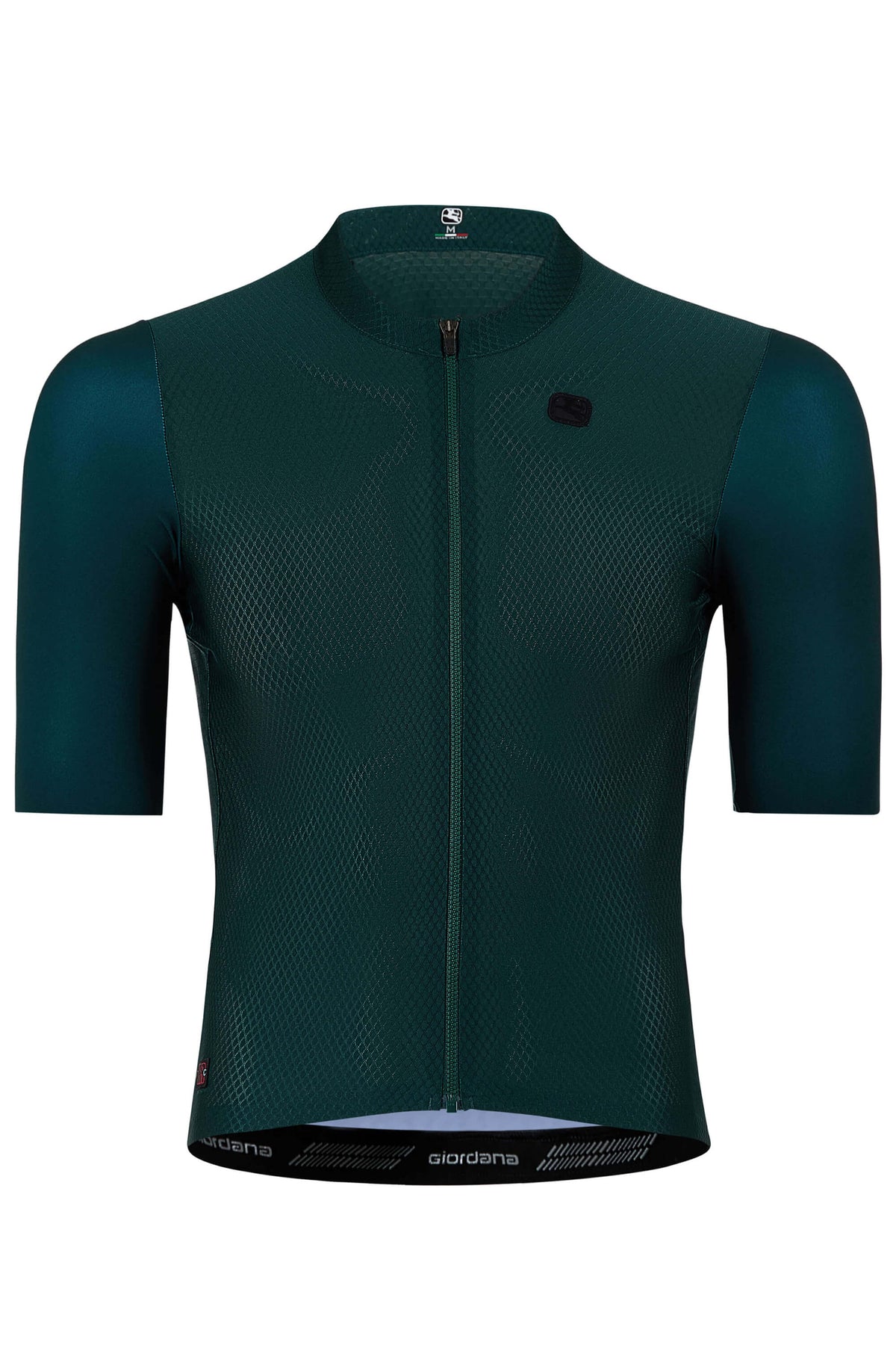 Men's FR-C Pro Jersey by Giordana Cycling, SEA MOSS GREEN, Made in Italy